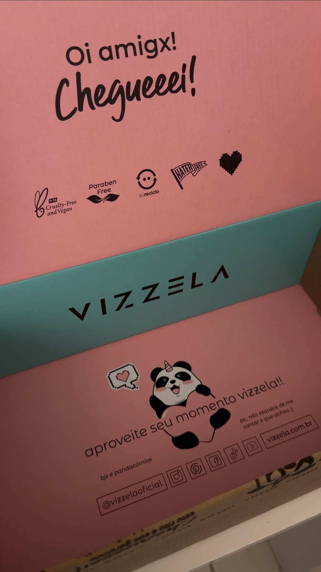 Meus escolhidos Vizzela